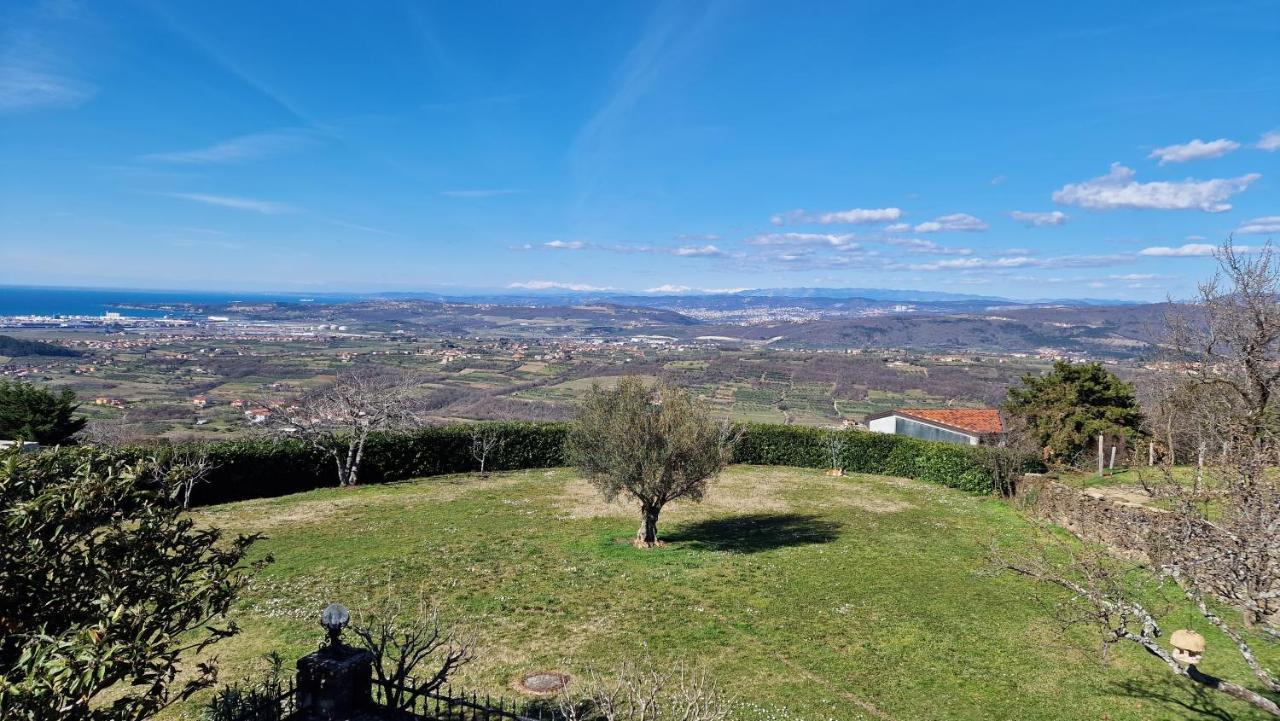 Apartma Panorama Marezige Exterior photo